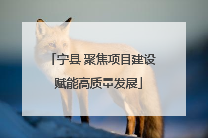 宁县 聚焦项目建设 赋能高质量发展