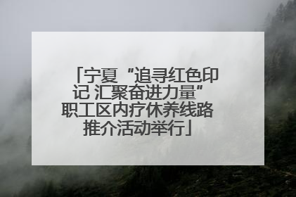 宁夏“追寻红色印记 汇聚奋进力量”职工区内疗休养线路推介活动举行