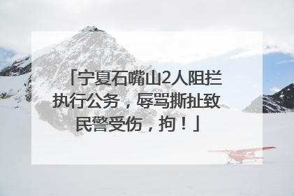 宁夏石嘴山2人阻拦执行公务，辱骂撕扯致民警受伤，拘！