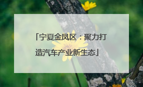 宁夏金凤区：聚力打造汽车产业新生态