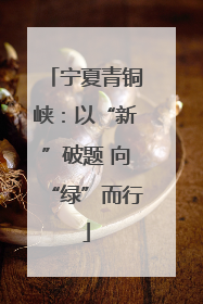 宁夏青铜峡：以“新”破题 向“绿”而行