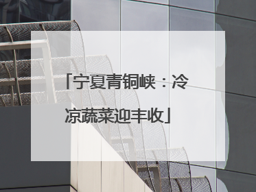 宁夏青铜峡：冷凉蔬菜迎丰收