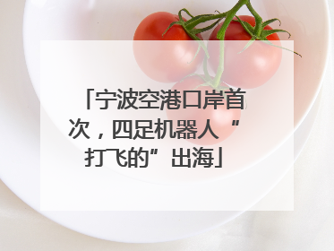 宁波空港口岸首次，四足机器人“打飞的”出海