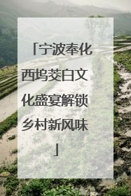 宁波奉化西坞茭白文化盛宴解锁乡村新风味