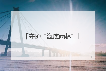 守护“海底雨林”