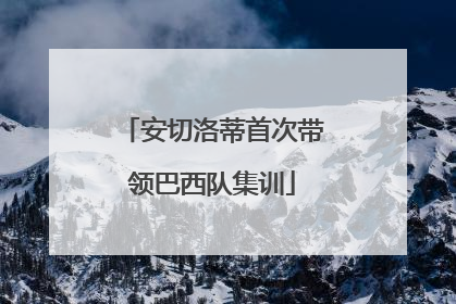 安切洛蒂首次带领巴西队集训