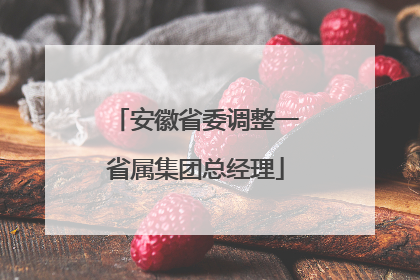 安徽省委调整一省属集团总经理