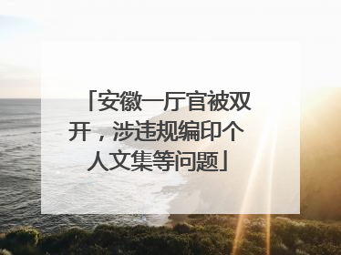 安徽一厅官被双开，涉违规编印个人文集等问题