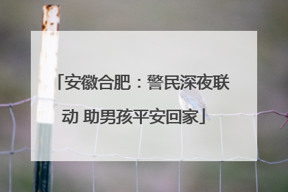 安徽合肥：警民深夜联动 助男孩平安回家