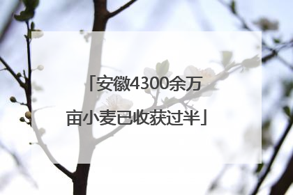 安徽4300余万亩小麦已收获过半