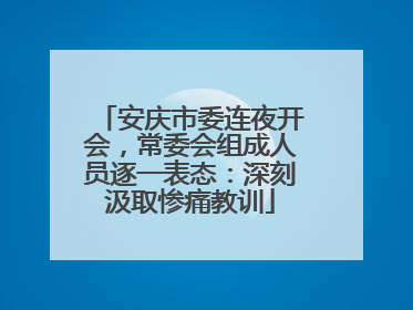 安庆市委连夜开会，常委会组成人员逐一表态：深刻汲取惨痛教训