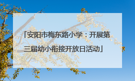 安阳市梅东路小学：开展第三届幼小衔接开放日活动