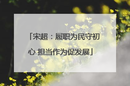 宋超：履职为民守初心 担当作为促发展