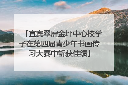 宜宾翠屏金坪中心校学子在第四届青少年书画传习大赛中斩获佳绩