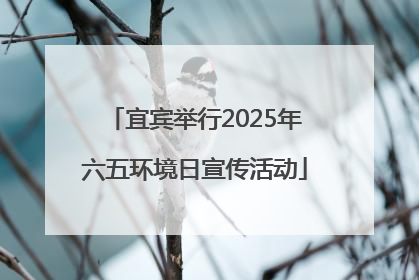 宜宾举行2025年六五环境日宣传活动