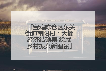 宝鸡陈仓区东关街道南阳村：大棚经济结硕果 绘就乡村振兴新图景