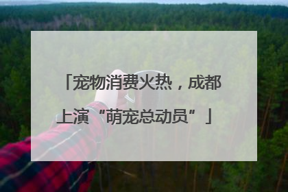 宠物消费火热，成都上演“萌宠总动员”
