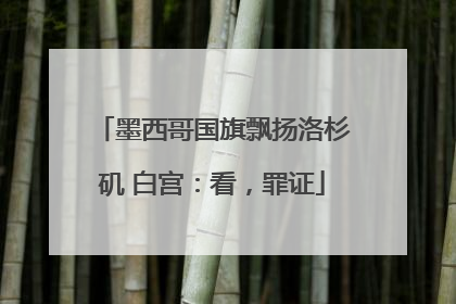 墨西哥国旗飘扬洛杉矶 白宫：看，罪证
