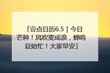 壹点日历6.5｜今日芒种！风吹麦成浪，蝉鸣夏始忙！大家早安