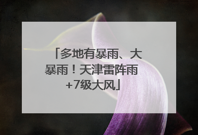 多地有暴雨、大暴雨！天津雷阵雨+7级大风