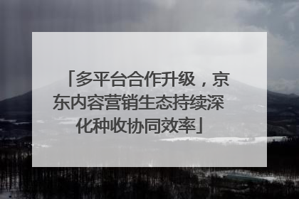 多平台合作升级，京东内容营销生态持续深化种收协同效率