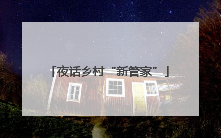 夜话乡村“新管家”