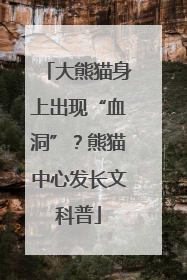 大熊猫身上出现“血洞”？熊猫中心发长文科普