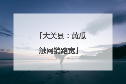 大关县：黄瓜触网销路宽