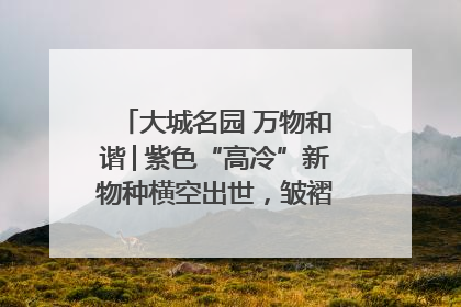 大城名园 万物和谐│紫色“高冷”新物种横空出世，皱褶叶片暗藏进化密码