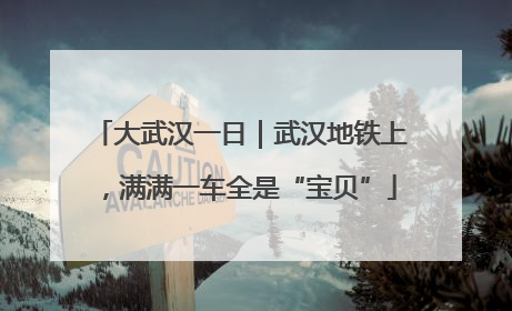 大武汉一日｜武汉地铁上，满满一车全是“宝贝”