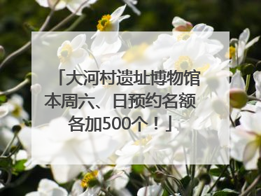 大河村遗址博物馆本周六、日预约名额各加500个！
