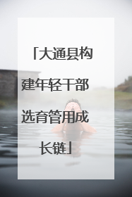 大通县构建年轻干部选育管用成长链