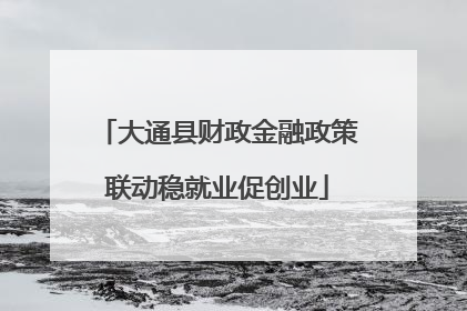 大通县财政金融政策联动稳就业促创业