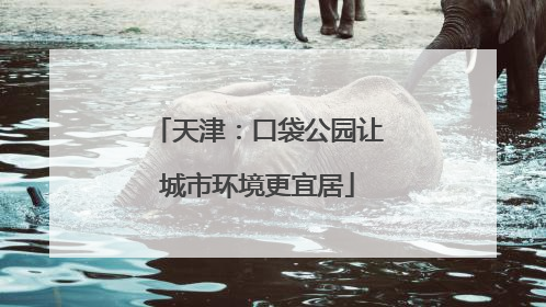 天津：口袋公园让城市环境更宜居