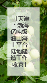 天津：渤海亿吨级油田海上平台陆地建造工作收官