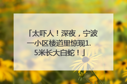 太吓人！深夜，宁波一小区楼道里惊现1.5米长大白蛇！