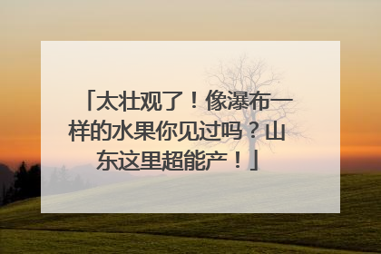 太壮观了！像瀑布一样的水果你见过吗？山东这里超能产！
