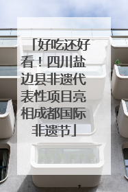 好吃还好看！四川盐边县非遗代表性项目亮相成都国际非遗节