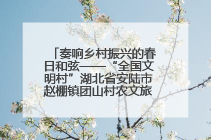 奏响乡村振兴的春日和弦——“全国文明村”湖北省安陆市赵棚镇团山村农文旅融合发展见闻