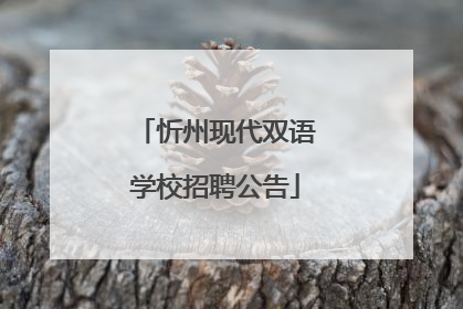 忻州现代双语学校招聘公告