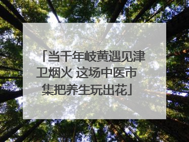 当千年岐黄遇见津卫烟火 这场中医市集把养生玩出花