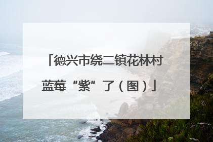 德兴市绕二镇花林村蓝莓“紫”了（图）