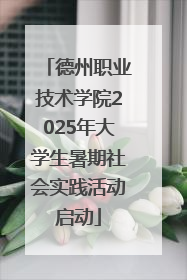 德州职业技术学院2025年大学生暑期社会实践活动启动