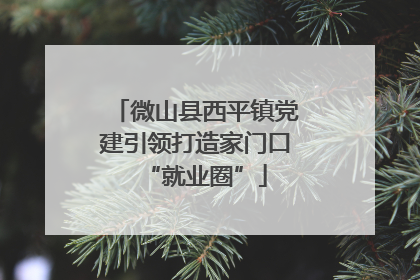 微山县西平镇党建引领打造家门口“就业圈”