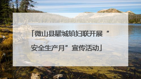 微山县驩城镇妇联开展“安全生产月”宣传活动