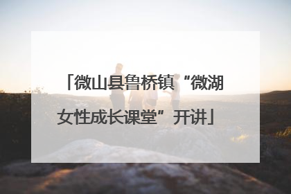 微山县鲁桥镇“微湖女性成长课堂”开讲