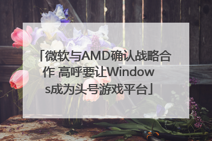 微软与AMD确认战略合作 高呼要让Windows成为头号游戏平台