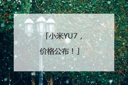 小米YU7，价格公布！