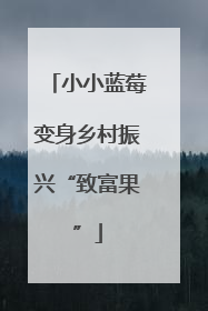 小小蓝莓变身乡村振兴“致富果”