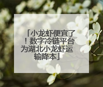 小龙虾便宜了！数字冷链平台为湖北小龙虾运输降本